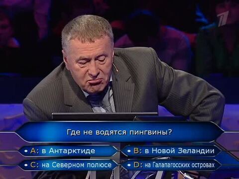 Вопрос на 200000 рублей: про пингвинов. Отвечает Владимир Жириновский. Кто хочет стать миллионером?