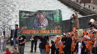 Во Владивостоке состоялось большое праздничное шествие в честь Дня тигра