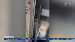 ФСБ показала задержание воздействовавших на детей проукраинских радикалов