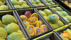 Что делает манго в темноте? Дозревает! Доброе утро. Фрагмент 