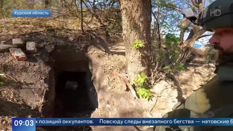 Настрой новости последние курска. Урок фото. Настрой новости последние курска. Жители курска. Уроки безопасности для начальной школы фото.