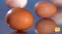 Куриное яйцо — настоящий суперфуд! Доброе утро. Фрагмент