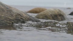 Соловецкие острова. Поехали! Анонс