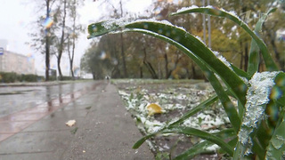 В Москве выпал первый снег