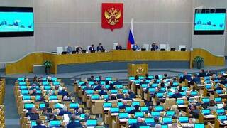 Госдума приравняла к особо тяжким преступлениям организацию нелегальной миграции