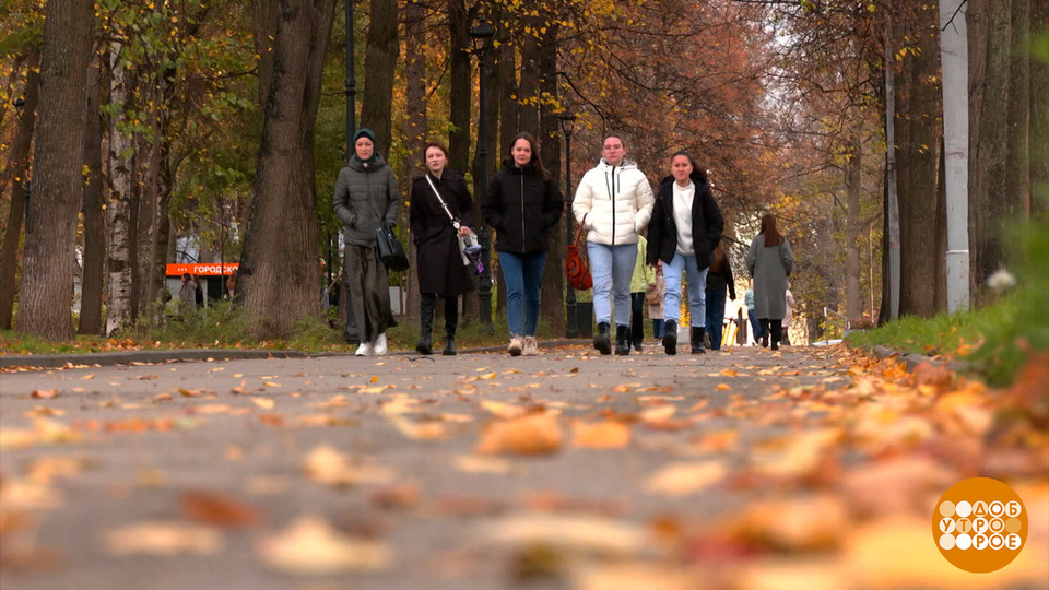 Осень в темпе адажио… Доброе утро. Фрагмент выпуска от 18.10.2024