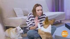 И от собачек — тоже спасибо зарядке. Доброе утро. Фрагмент 