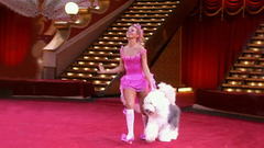 Укротительница собачек Ксения Собчак. Цирк со звездами. Фрагмент выпуска. 2007 год