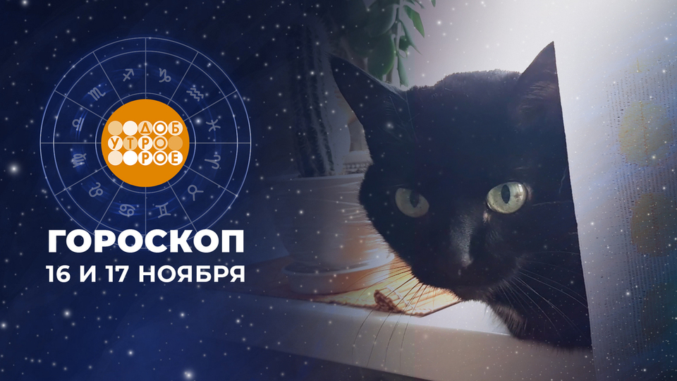 Гороскоп на 5 ноября 2024 доброе утро. Гороскоп на 5 ноября 2024 доброе утро