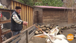 Добрые люди спасают зверей. Доброе утро. Фрагмент 