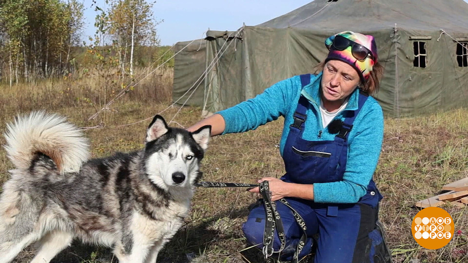 Добрые люди спасают зверей. Доброе утро. Фрагмент выпуска от 20.11.2024