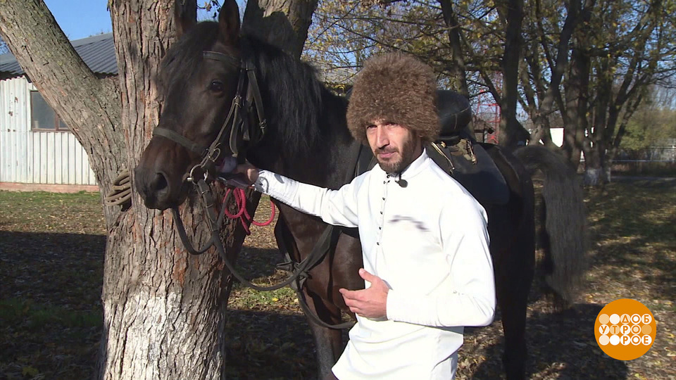 Конь человеку — друг! И даже брат… Доброе утро. Фрагмент выпуска от 28.11.2024