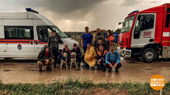 Быть волонтером — значит быть нужным людям! Доброе утро. Фрагмент 