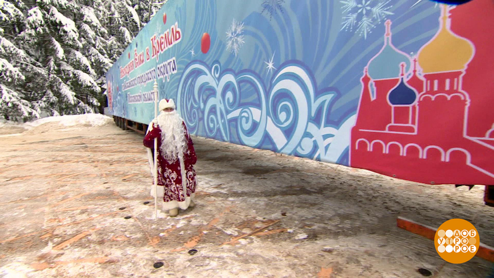 Главная елка страны: добро пожаловать в Москву! Доброе утро. Фрагмент выпуска от 12.12.2024