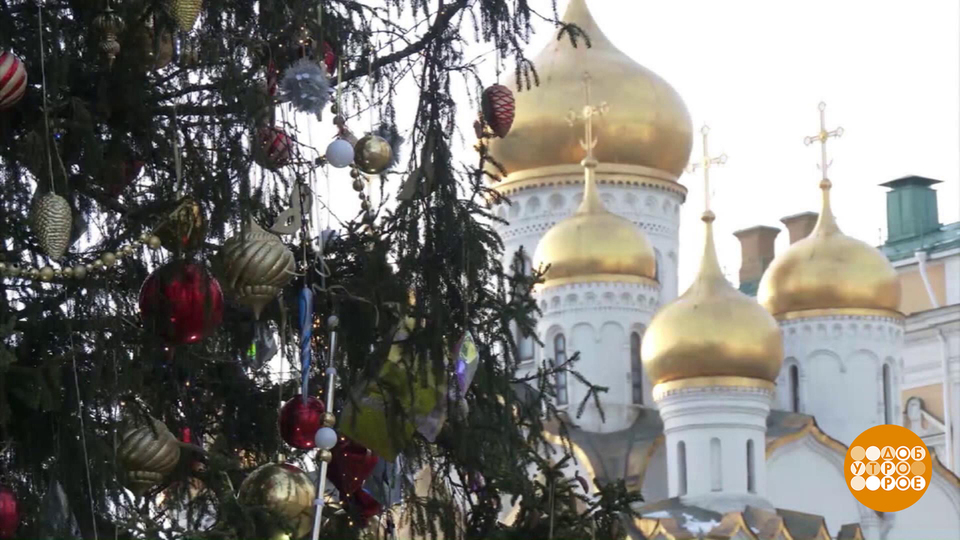 Елочка или пихточка? Главное, чтобы радовала! Доброе утро. Фрагмент выпуска от 20.12.2024