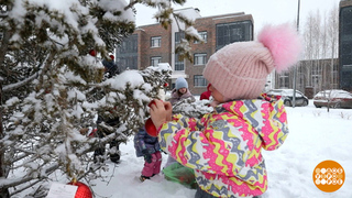 Всем новогоднего настроения! Доброе утро. Фрагмент 