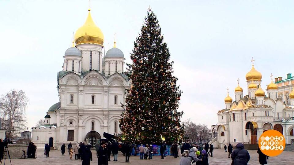 Главная елка страны — во всей красе! Доброе утро. Фрагмент выпуска от 24.12.2024