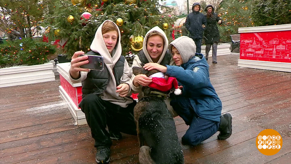 Мечты сбываются! Доброе утро. Фрагмент выпуска от 28.12.2024