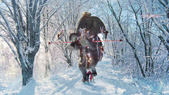 Новогодние белки и слоны. «Велосипед». Новый год с Первым