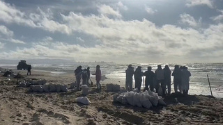 На Черноморском побережье продолжается экологическая операция после крушения танкеров и разлива мазута