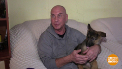 Собака моей мечты. Доброе утро. Фрагмент 