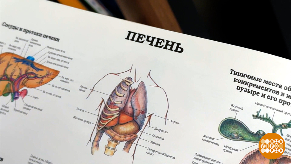 Чего тебе хочется, печень? Доброе утро. Суббота. Фрагмент выпуска от 18.01.2025