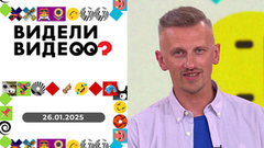 Психотерапия для кошки; попугай-будильник; лис-воришка. Видели видео? 