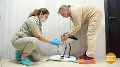 Как спасали Кешу. Доброе утро. Фрагмент 