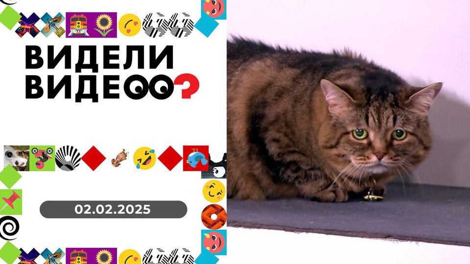 Видели видео? Выпуск от 02.02.2025