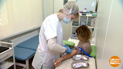 Что-то я часто простужаюсь… Доброе утро. Фрагмент 