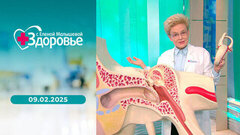 Тонометр; головокружение; болезнь Альцгеймера; пробиотики. Здоровье