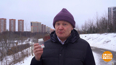 Витаминки — не конфетки! Доброе утро. Фрагмент 