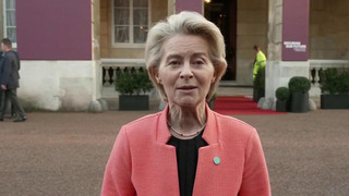 Глава Еврокомиссии призвала превратить Украину в «стального дикобраза»