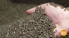 Полиэтиленовый пакет превращается… во что? Доброе утро. Фрагмент 