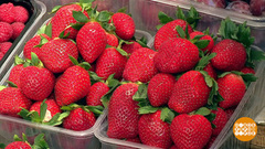 Клубника, ты откуда? Доброе утро. Фрагмент 