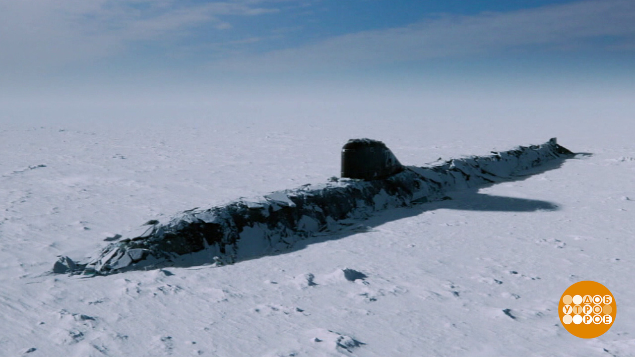 «Северный полюс»: это надо видеть! Доброе утро. Фрагмент выпуска от 13.03.2025
