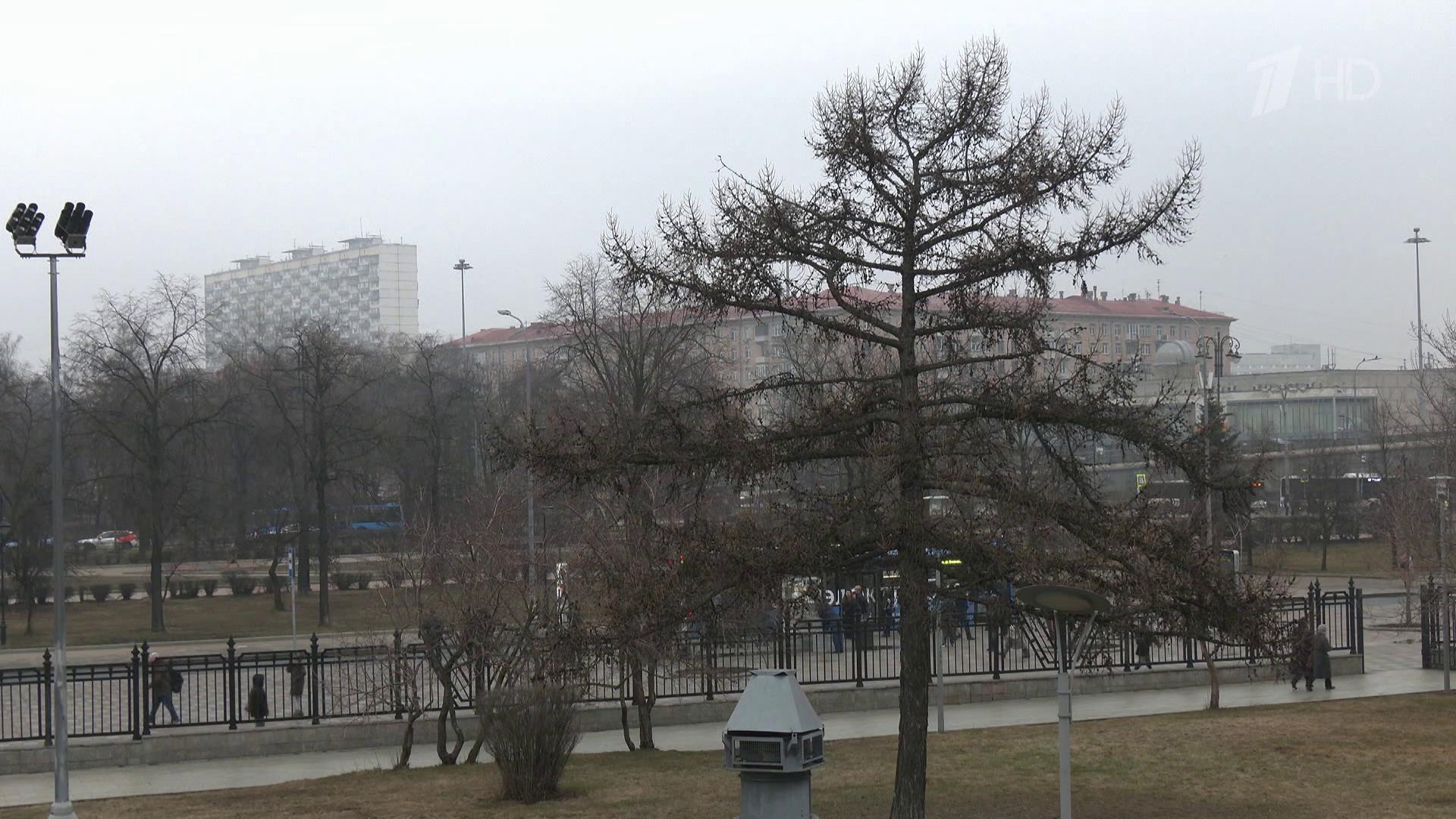 Москва и область готовятся к усилению ветра