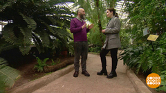 Главный Ботанический сад: не просто парк! Доброе утро. Фрагмент 