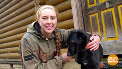 В лес с собакой: защищаемся от клещей. Доброе утро. Фрагмент