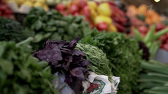 Пятигорск. Повара на колесах. Анонс