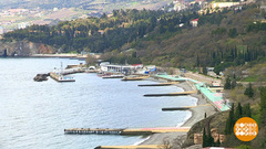 Добро пожаловать в «Артек»! Доброе утро. Фрагмент 