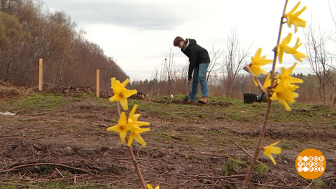 Сама садик я садила… Главное — не криво! Доброе утро. Фрагмент 