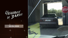 Банды подростков; битва за автомобиль; бабушка-волонтер. Человек и закон