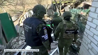 Обнародованы новые свидетельства украинских военных преступлений в Донбассе