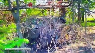 Российская армия освободила населенный пункт Новое в Донецкой народной республике