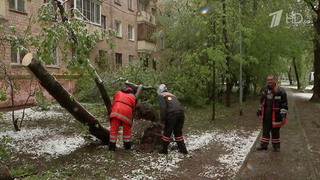 В Москве из-за заморозков объявлен оранжевый уровень погодной опасности