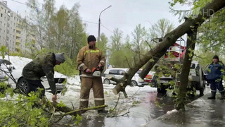 Первомайская метель обесточила часть Подмосковья и ближайшие области