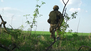 Ровно неделя с того дня, как украинских оккупантов выбили из села Горналь в Курской области