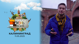 Калининград. Жизнь своих