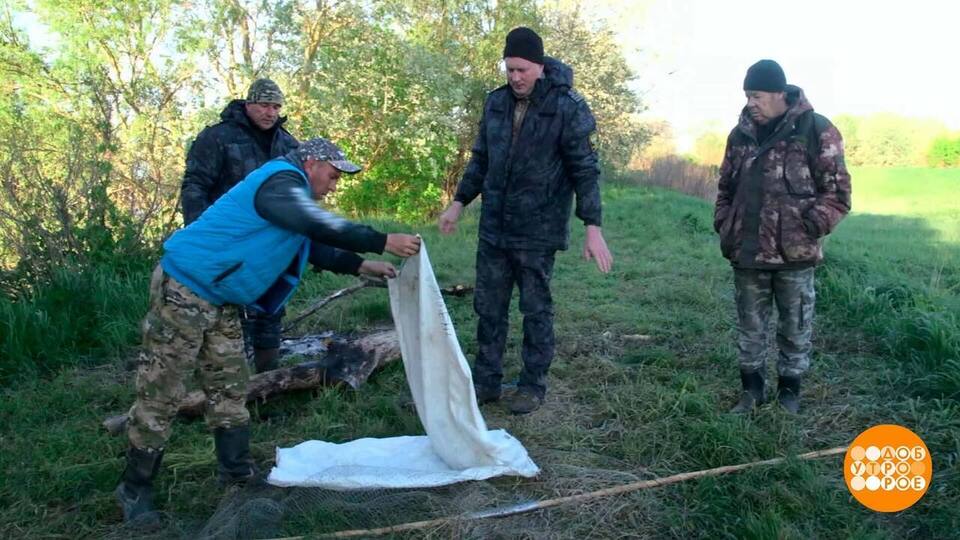 Браконьерам тут не место! Доброе утро. Фрагмент выпуска от 13.05.2025